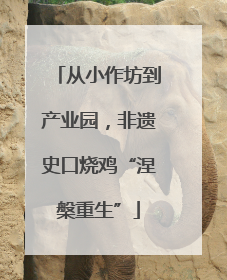 从小作坊到产业园，非遗史口烧鸡“涅槃重生”