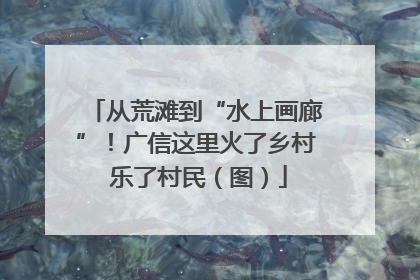 从荒滩到“水上画廊”！广信这里火了乡村 乐了村民（图）