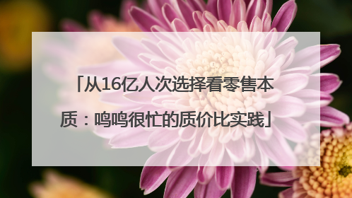 从16亿人次选择看零售本质：鸣鸣很忙的质价比实践