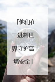 他们在二进制世界守护高墙安全