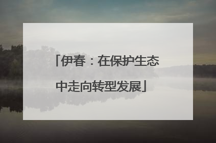 伊春：在保护生态中走向转型发展