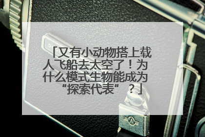 又有小动物搭上载人飞船去太空了！为什么模式生物能成为“探索代表”？