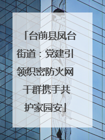 台前县凤台街道：党建引领织密防火网 干群携手共护家园安