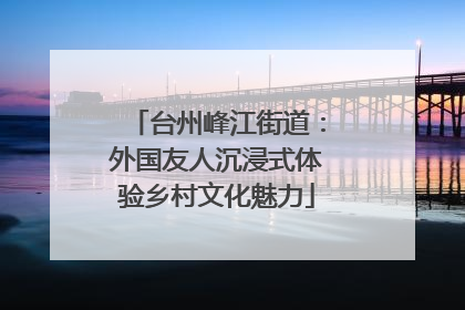 台州峰江街道：外国友人沉浸式体验乡村文化魅力