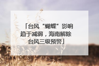 台风“蝴蝶”影响趋于减弱，海南解除台风三级预警