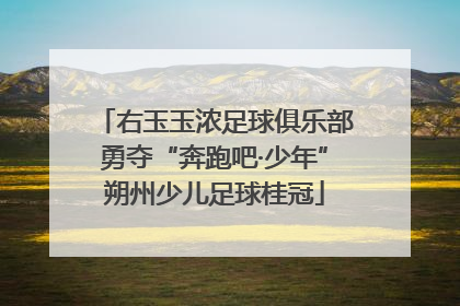 右玉玉浓足球俱乐部勇夺“奔跑吧·少年”朔州少儿足球桂冠