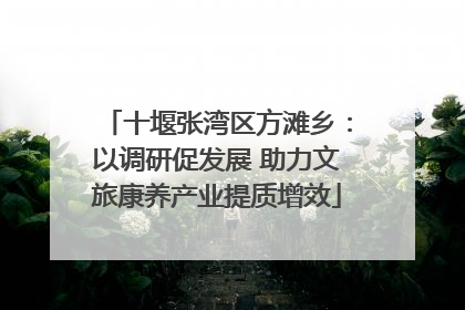 十堰张湾区方滩乡：以调研促发展 助力文旅康养产业提质增效