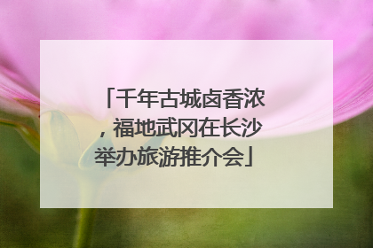 千年古城卤香浓，福地武冈在长沙举办旅游推介会