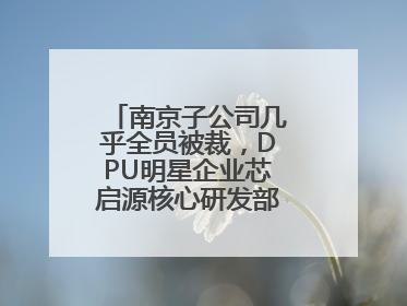 南京子公司几乎全员被裁，DPU明星企业芯启源核心研发部门已人去楼空