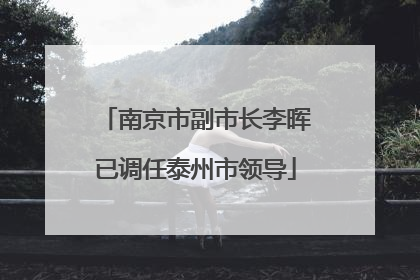 南京市副市长李晖已调任泰州市领导