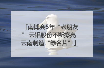 南博会5年“老朋友” 云铝股份不断擦亮云南制造“绿名片”