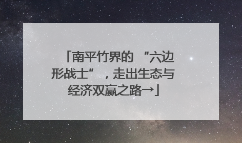 南平竹界的 “六边形战士”，走出生态与经济双赢之路→