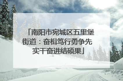南阳市宛城区五里堡街道：奋楫笃行勇争先 实干奋进结硕果
