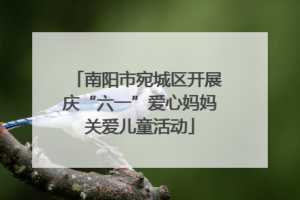 南阳市宛城区开展庆“六一”爱心妈妈关爱儿童活动