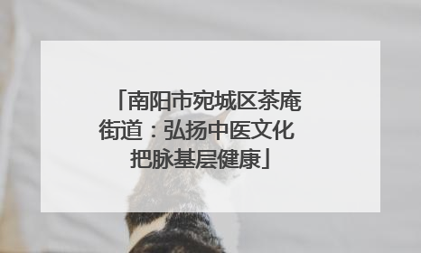 南阳市宛城区茶庵街道：弘扬中医文化 把脉基层健康