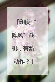 印度“阵风”战机，有新动作？