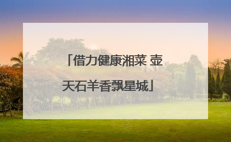 借力健康湘菜 壶天石羊香飘星城