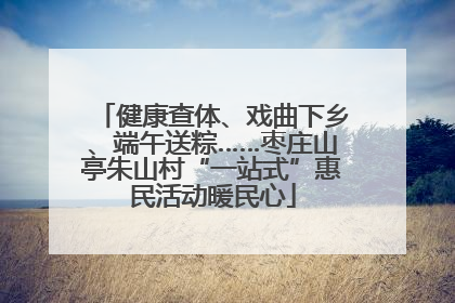 健康查体、戏曲下乡、端午送粽……枣庄山亭朱山村“一站式”惠民活动暖民心