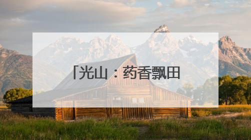 光山：药香飘田野 铺就富民路