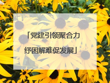 党建引领聚合力 纾困解难促发展