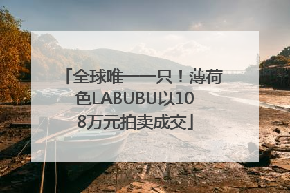 全球唯一一只！薄荷色LABUBU以108万元拍卖成交