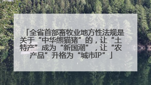 全省首部畜牧业地方性法规是关于“中华熊猫猪”的，让“土特产”成为“新国潮”，让“农产品”升格为“城市IP”