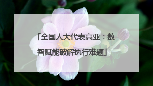 全国人大代表高亚：数智赋能破解执行难题