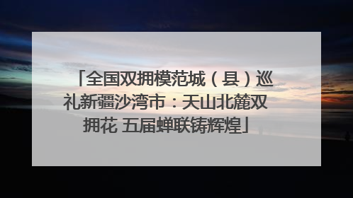 全国双拥模范城（县）巡礼新疆沙湾市：天山北麓双拥花 五届蝉联铸辉煌
