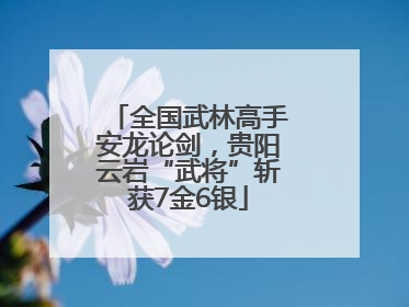 全国武林高手安龙论剑，贵阳云岩“武将”斩获7金6银