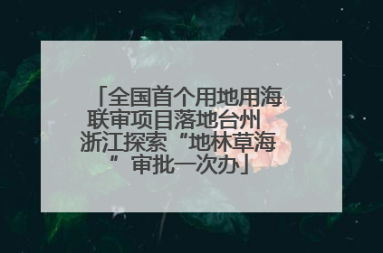全国首个用地用海联审项目落地台州 浙江探索“地林草海”审批一次办