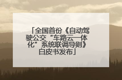 全国首份《自动驾驶公交“车路云一体化”系统联调导则》白皮书发布