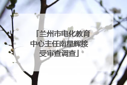 兰州市电化教育中心主任南星辉接受审查调查
