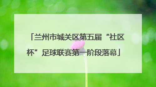 兰州市城关区第五届“社区杯”足球联赛第一阶段落幕