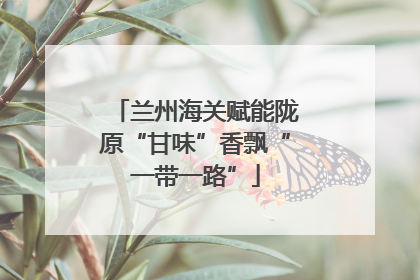 兰州海关赋能陇原“甘味”香飘“一带一路”