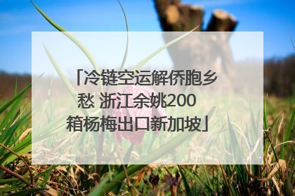 冷链空运解侨胞乡愁 浙江余姚200箱杨梅出口新加坡