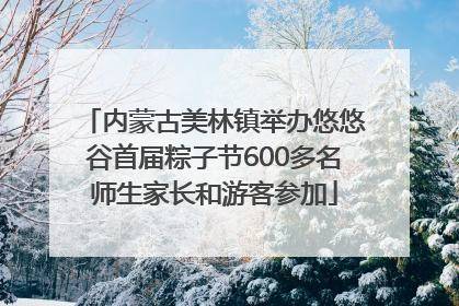 内蒙古美林镇举办悠悠谷首届粽子节600多名师生家长和游客参加