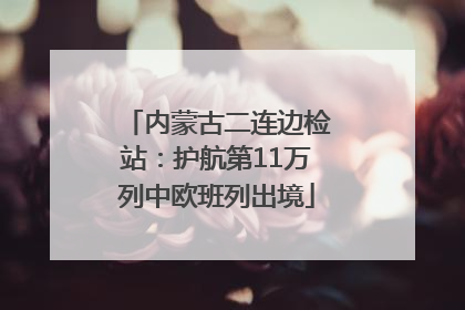 内蒙古二连边检站：护航第11万列中欧班列出境