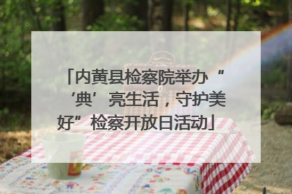 内黄县检察院举办“‘典’亮生活，守护美好”检察开放日活动
