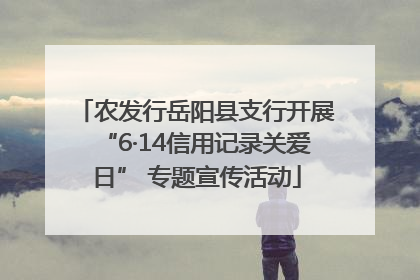 农发行岳阳县支行开展“6·14信用记录关爱日” 专题宣传活动
