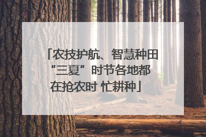 农技护航、智慧种田 “三夏”时节各地都在抢农时 忙耕种