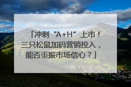冲刺“A+H”上市！三只松鼠加码营销投入，能否重振市场信心？