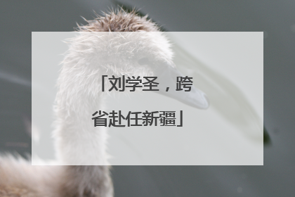 刘学圣，跨省赴任新疆
