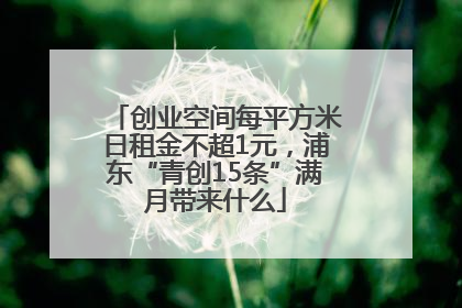 创业空间每平方米日租金不超1元，浦东“青创15条”满月带来什么