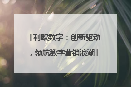 利欧数字：创新驱动，领航数字营销浪潮