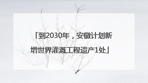 到2030年，安徽计划新增世界灌溉工程遗产1处
