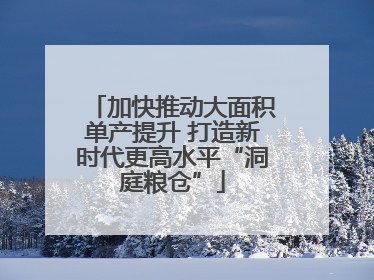 加快推动大面积单产提升 打造新时代更高水平“洞庭粮仓”