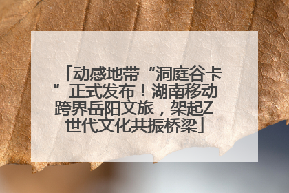 动感地带“洞庭谷卡”正式发布！湖南移动跨界岳阳文旅，架起Z世代文化共振桥梁