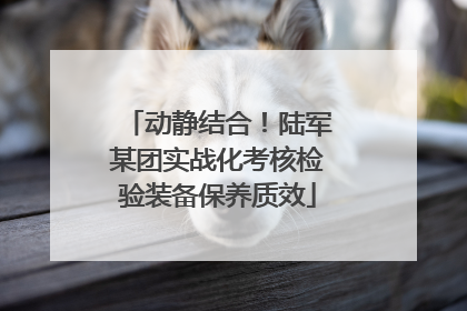 动静结合！陆军某团实战化考核检验装备保养质效