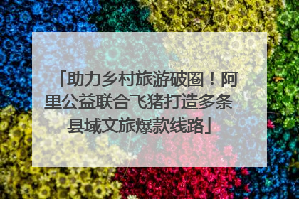 助力乡村旅游破圈！阿里公益联合飞猪打造多条县域文旅爆款线路