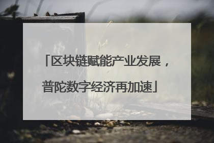 区块链赋能产业发展，普陀数字经济再加速